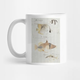 Four Fish by Luigi Balugani Mug